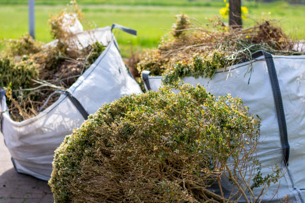 Best Construction Debris Removal  in Hollywood, SC