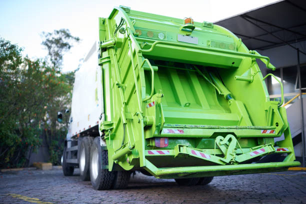 Yard Cleanup Services in Hollywood, SC